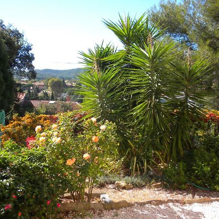 Ecrin De Verdure Sur Le Lavandou - Classement Tourisme 3 Etoiles Экстерьер фото