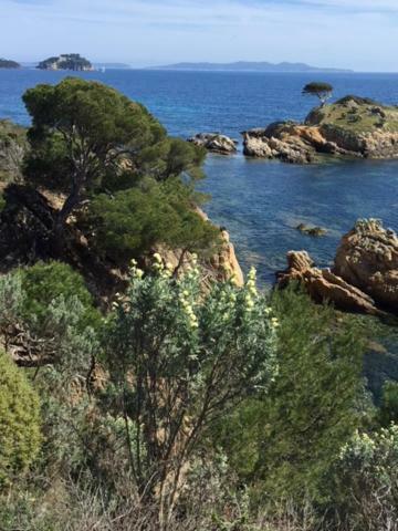 Ecrin De Verdure Sur Le Lavandou - Classement Tourisme 3 Etoiles Экстерьер фото